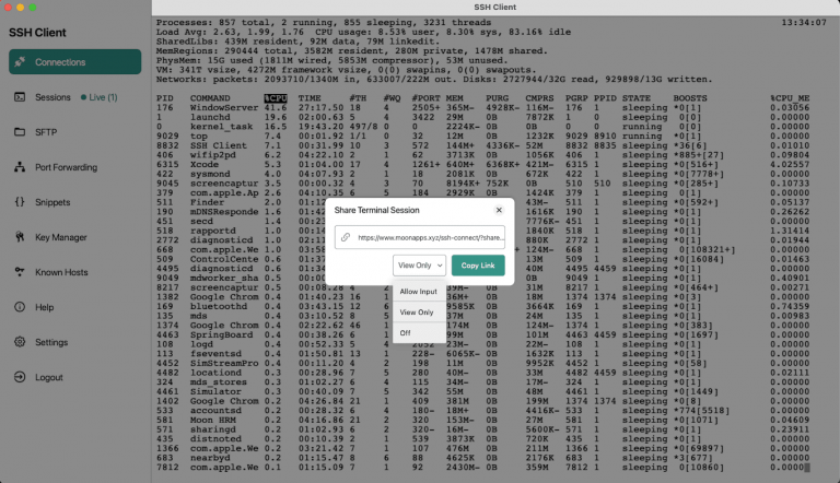 Best Practices for Terminal Sharing: The Art of Collaborative Coding